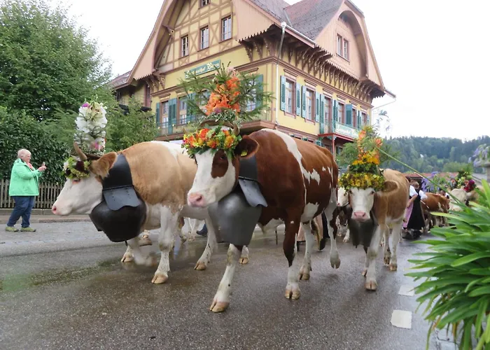 Hotel Baeren